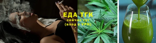 прущие грибы Ельня