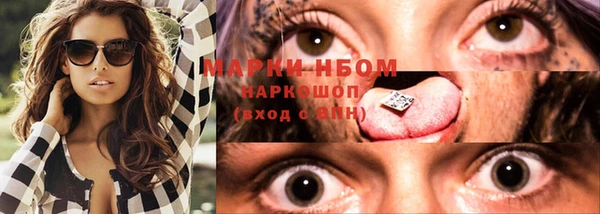 PSILOCYBIN Няндома