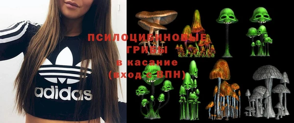 дживик Нязепетровск