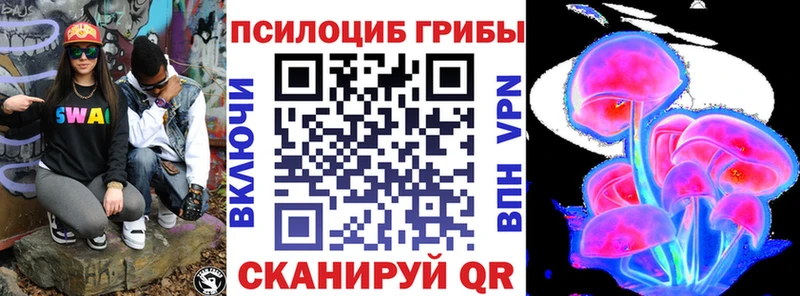 omg ссылки  Любим  Галлюциногенные грибы Cubensis 